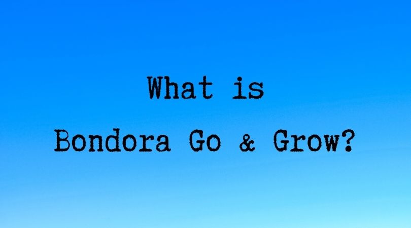What is Bondora Go & Grow_